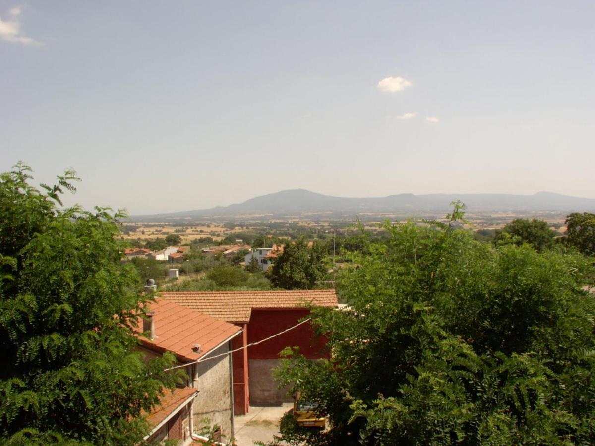 I Tulipani Olandesi Bed & Breakfast Zepponami Eksteriør bilde